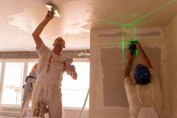 Best Ceiling Drywall Installation  in Matta, WA